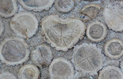 Vacation House Home, Plitvice Lakes National Park - Foto 39