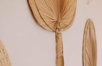 Can Camades - Casa amb jardí i piscina a L'Empordà - Foto 35