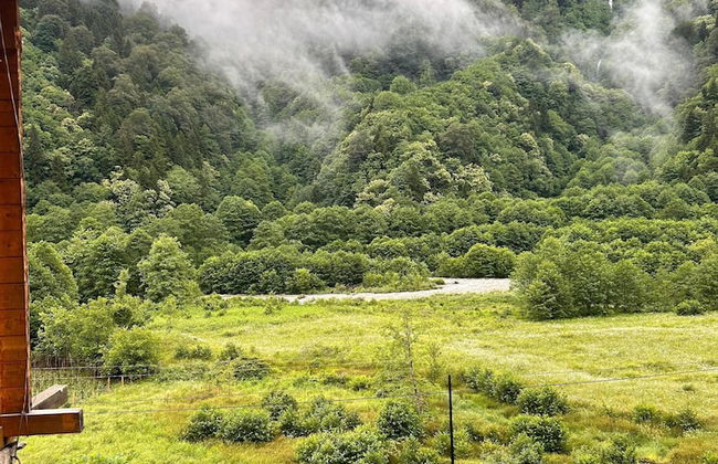 Meydan Şelale Dağ Evi - Foto 49