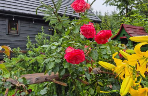 Beskidzka Ostoja - Foto 15