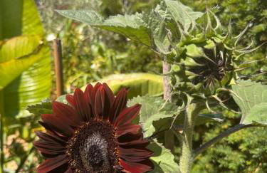 The Old Cheese Press, Eckington - Foto 54