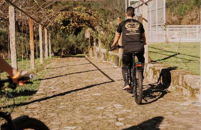 Vinte-Quinta da Boavista - Photo 30