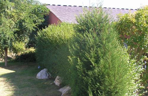 Apartamentos El Guindal - Foto 47