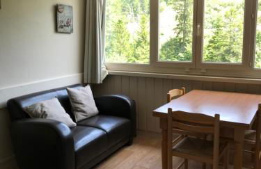 RÉSID BEC DE L AIGLE Studio 22 - LE LIORAN - Photo 1