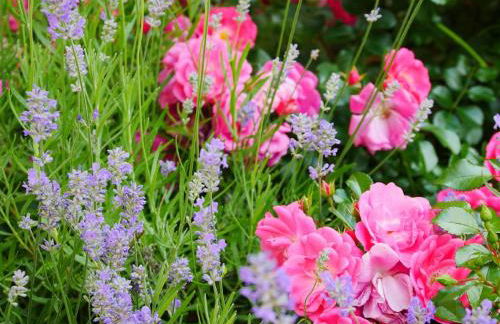 Ferienwohnung Meyer - Foto 8