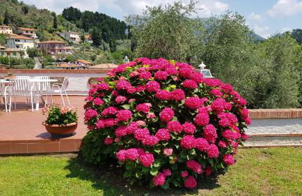 Casa Vittoria - Foto 34