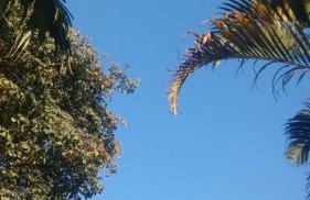 Casa COMPLETA, 2 quartos, Estacionamento GRATUITO, WIFI 300MB, frigobar, microondas, fogão e jardim - Foto 15