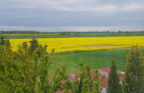 Silence Villa - Foto 23