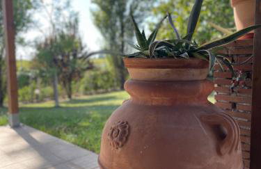 Tenuta Agave - Foto 6