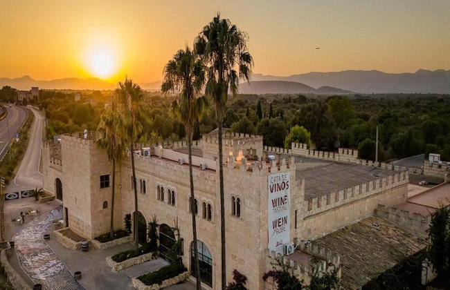 Discover the Château Island Wine Concept: Wine Tasting Experience in Algaida - Foto 3