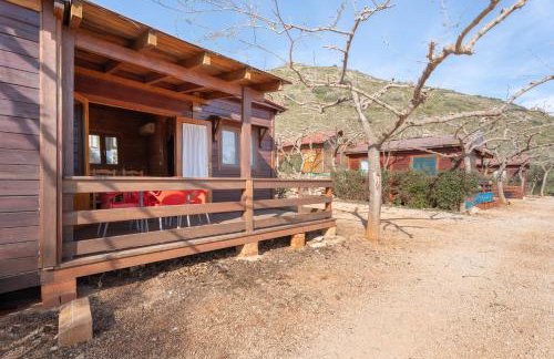 Falaguera Cabaña 2 - Foto 1