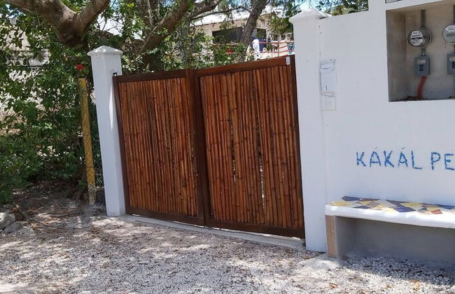 Mini Pini Birdwatching and Cenote Loft4 you Only - Photo 62