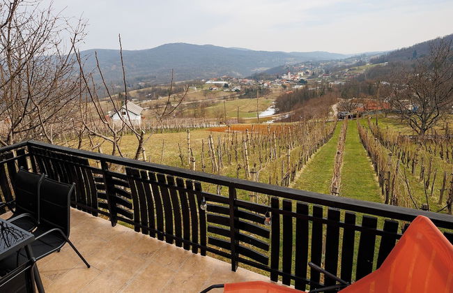 Vineyard cottage Cvitkovič - Foto 20