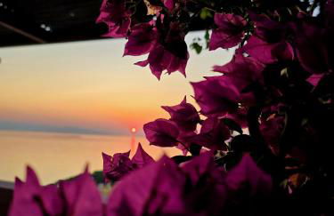 La Casa Del Sol Villa Aegina sea and Sunsets - Foto 71