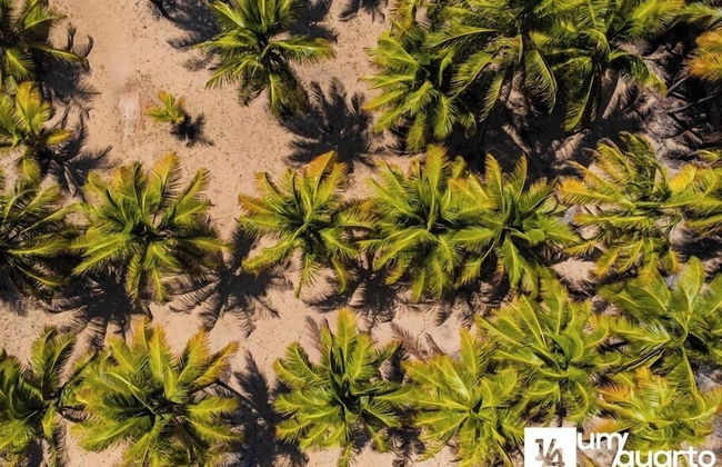 Ponta de Inhambupe Residences - Foto 56