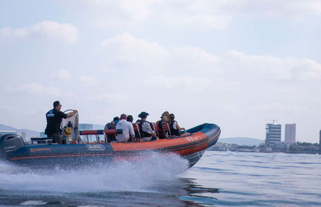 Whale watching a Mazatlán + Museo della Balena - Foto 7