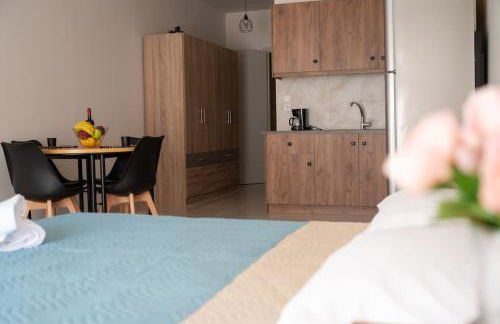 Anesis Airport rooms 204 - Foto 16