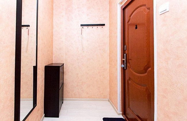 ApartLux Yuzhnaya - Foto 7