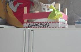 Casa Siciliana Altarbiah - Foto 41