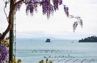 Il Nido a Portovenere - Foto 36