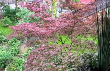 Willkommen im Casa Felice, der Wohlfühl Oase mit Balkon, 4 Betten und Homeoffice Platz - Foto 66