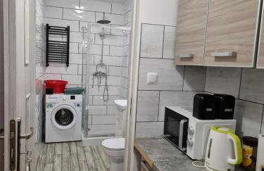 SAWAGO przytulne mieszkanie u Gosi Lekowo Ciechanów - Foto 9