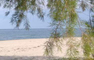 House of colors - Foto 23