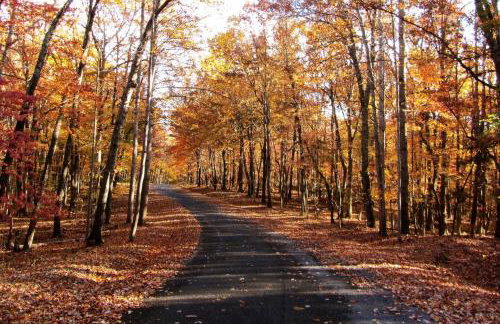 Lake Escape to an Elegant 4 Br Home - Foto 60