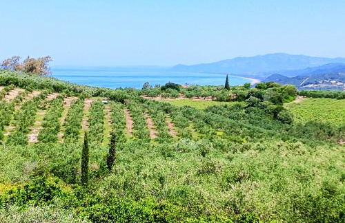 Villa Elaia - Foto 43