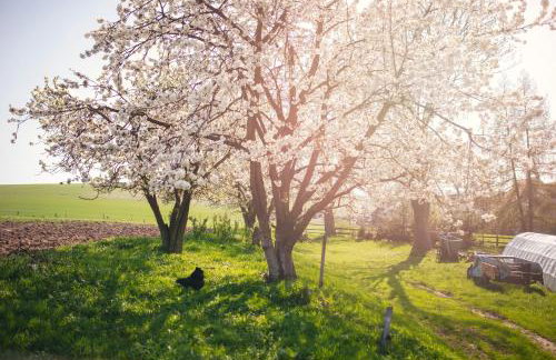 Gospodarstwo Agroturystyczne Kowalowe Wzgórze - Foto 25