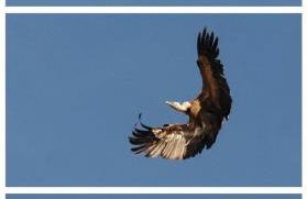 Encanto en el Moncayo - Photo 13