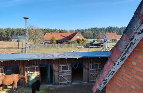 Familienfreundliche große Ferienwohnung mit Pool & Pferden - Spielplatz direkt am Haus - Foto 18