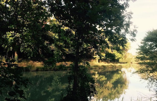 Les appartement de charme du Midi - Foto 40