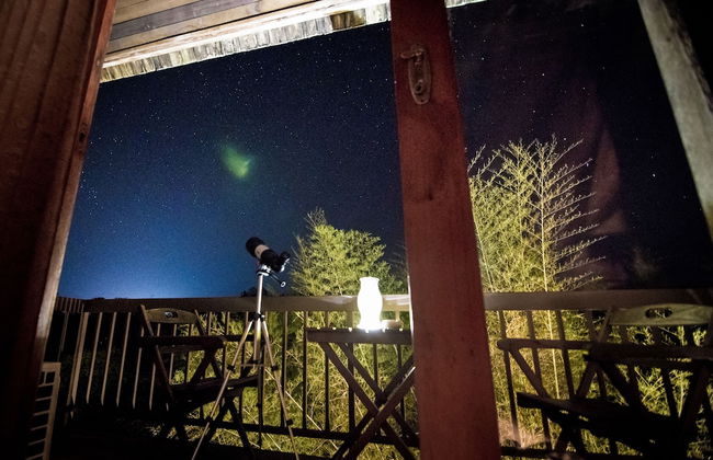 Teakwood Villa - Photo 21