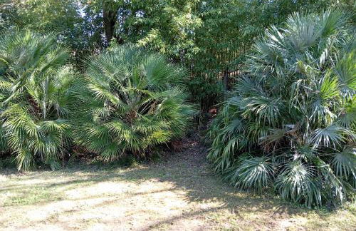 Maison Les Hirondelles - Photo 21