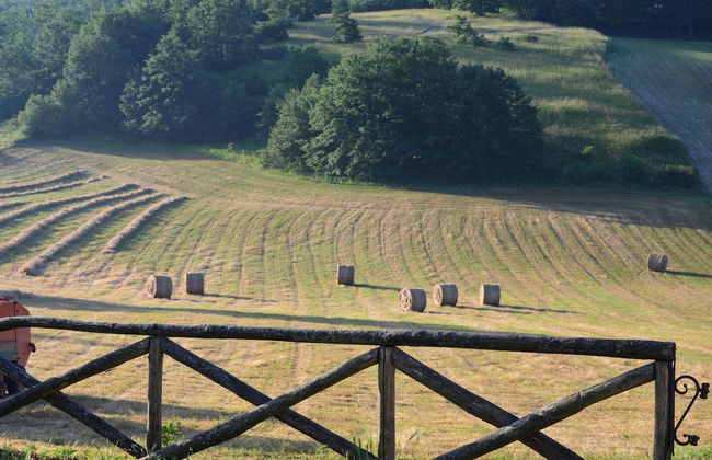 Agriturismo Castello Di Pupaggi - Photo 21