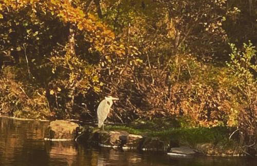 1800 Period Grade 2 Listed Cottage Addingham - Photo 30