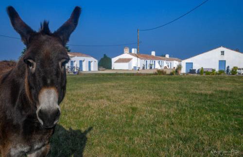 Gites De La Grande Borderie - Photo 60