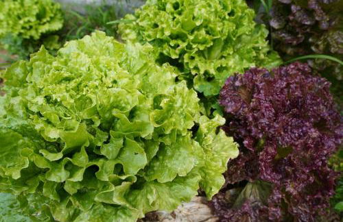 Casa do ti' Marrão - Photo 28