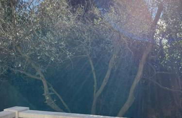 Maison T2 en Provence avec VTT electrique en option - Foto 36