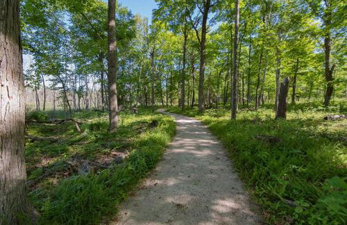 The Rushes - Foto 83