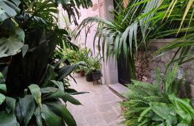 Cho Almeida - Foto 6