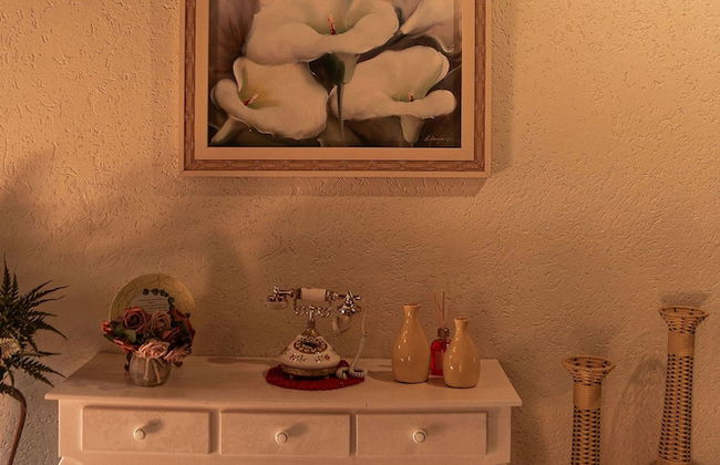 Sítio Morada do Pai com Sinuca e Piscina - Canelinha - SC - Foto 15