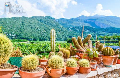 La Volta del Garda - Photo 34