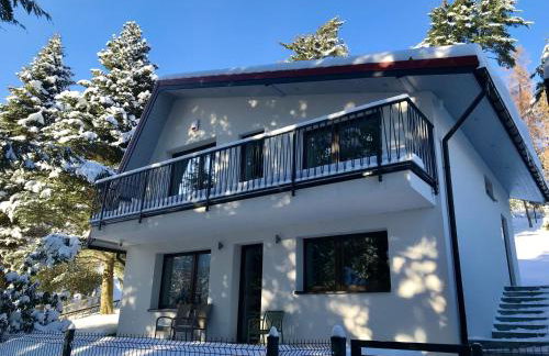 Domek Koziołek przy szlaku, Szyndzielnia, Klimczok, Szczyrk, Bania - Foto 25