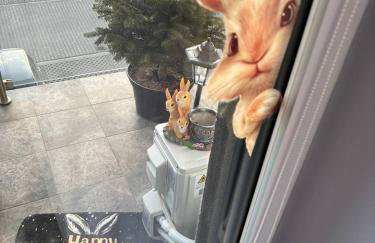 Studio Leszczyńskiego Przemyśl - Photo 20