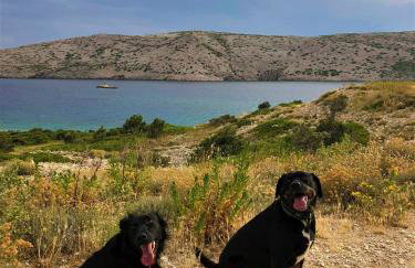 Apartmani Milena - Foto 67