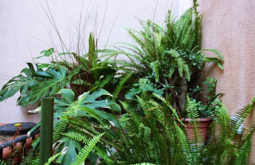 AURUSA - Casa Vacanze Pollina, Sicilia autentica - Foto 22