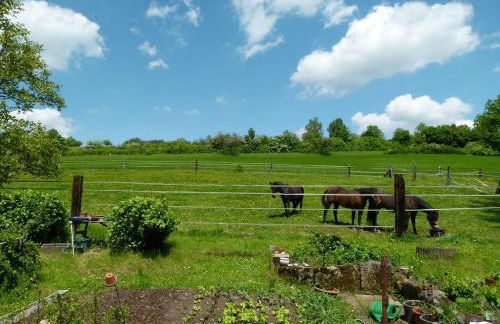 Ferienwohnung Schwabenhof - Foto 18