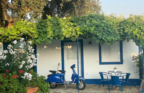 Casas Porta Alegre - Photo 34